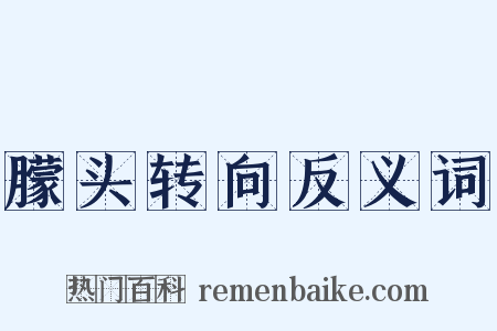 朦头转向反义词是什么意思的图片